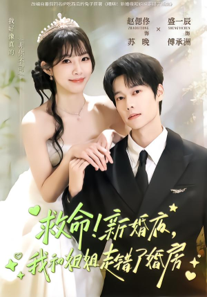 救命!新婚夜,我和姐姐走错了婚房(58集) 救命!新婚夜,我和姐姐走错了婚房(58集)最新火爆短剧