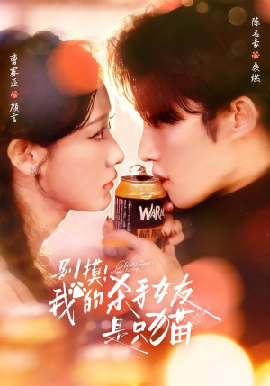 别摸！我的杀手女友是只猫（60集）怎么看全集