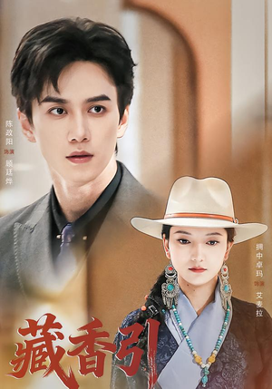 藏香引（63集）精彩短剧天天看