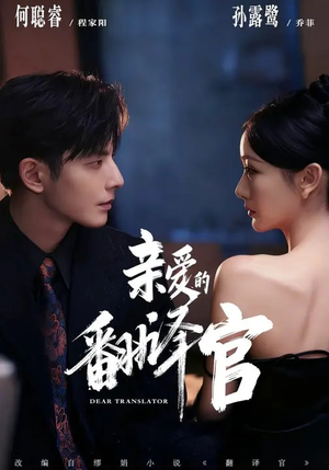 亲爱的翻译官（60集）流畅播放免费看