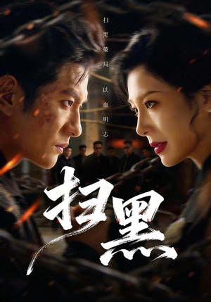 扫黑(70集) 扫黑(70集)看过的人都说好