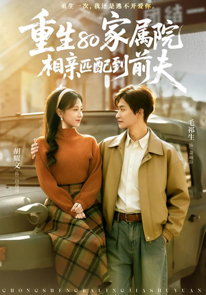 重生80家属院，相亲匹配到前夫（77集）越看越好看短剧
