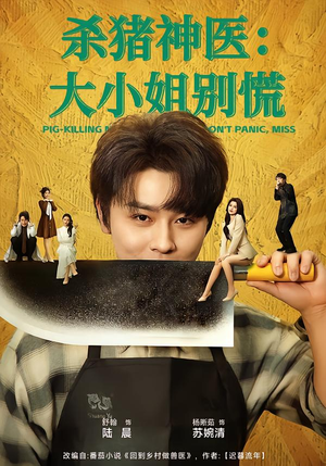 杀猪神医，大小姐别慌（80集）短剧小说在线看