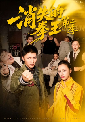 消失的拳王第二季（62集）在哪个平台看