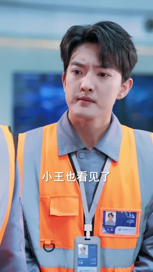 停飞后，我的航班坠毁了（100集）短剧免费观看