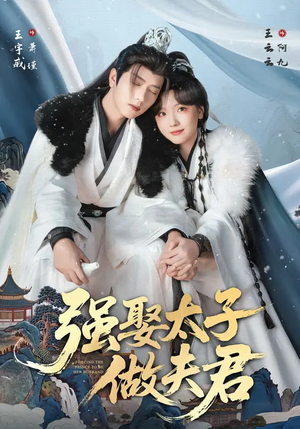 强娶太子做夫君(67集) 强娶太子做夫君(67集)剧情简介