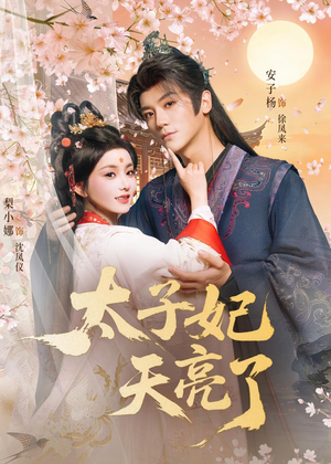 太子妃天亮了（80集）短剧片段分享