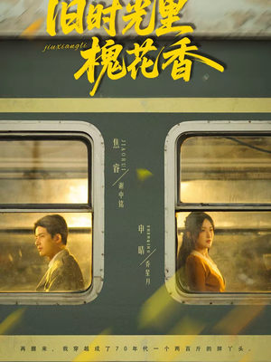 旧时光里槐花香（70集）独家短剧免费看