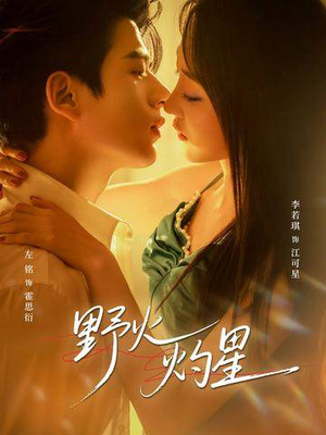 野火灼星(56集) 野火灼星(56集)全季一次看完