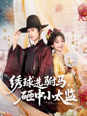 绣球选驸马，砸中小太监（81集）一口气看完