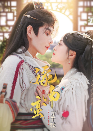 嫁南蛮，立千秋（79集）短剧热播抢先看