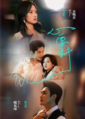 心要野（62集）全集