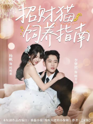 招财猫饲养指南（92集）第一季