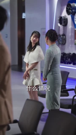 重生之奶奶出海造梦（30集）免费看