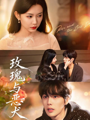 玫瑰与恶犬（80集）集免费看短剧