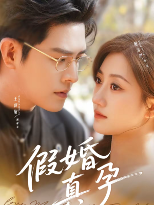 假婚真孕（70集）高清无码免费看