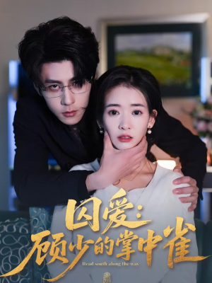 囚爱：顾少的掌中雀（70集）免费观看全集