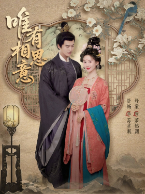 唯有相思意（100集）在线免费观看