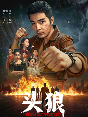 头狼(77集) 头狼(77集)最新上映的短剧