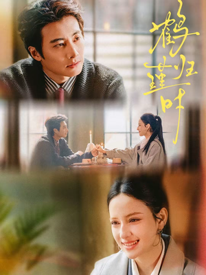 鹤归瑾时(81集) 鹤归瑾时(81集)火爆热门短剧