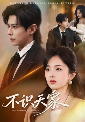 不识天家（69集）高分推荐免费看