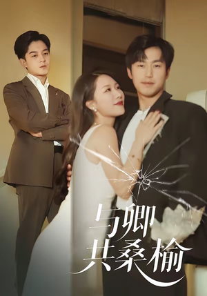 与卿共桑榆（63集）分享好看的短剧