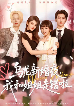 乌龙新婚夜，我和姐姐走错啦（59集）全集一网打尽
