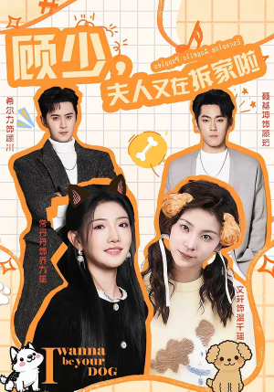 顾少,夫人又在拆家啦(78集) 顾少,夫人又在拆家啦(78集)爱短剧爱追剧