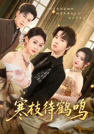 寒枝待鹤鸣（70集）超好看古装短剧