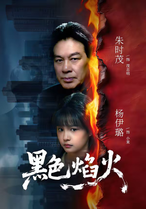 黑色焰火（41集）演员表