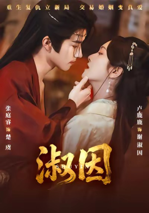 淑因（65集）百度网盘在线看