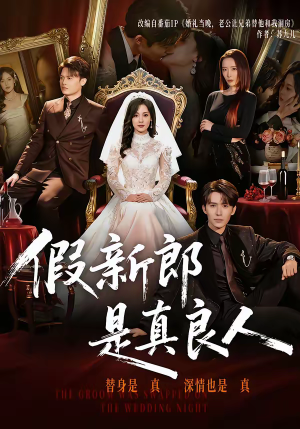 假新郎是真良人（67集）好看短剧追不停