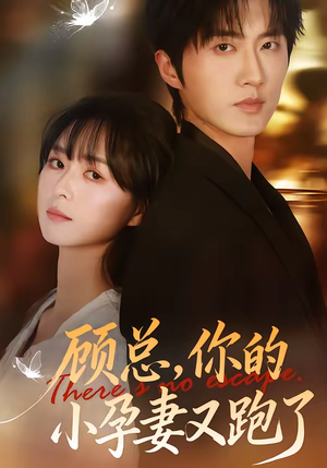 顾总，你的小孕妻又跑了（47集）排行榜前十短剧