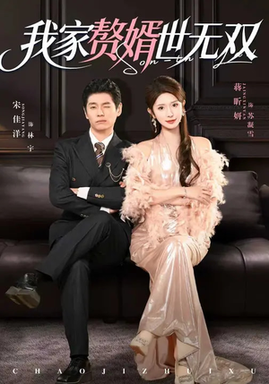 我家赘婿世无双（73集）短剧在哪里看