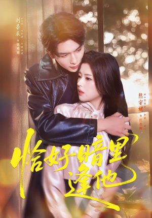 恰好暗里逢他（66集）短剧太好看了