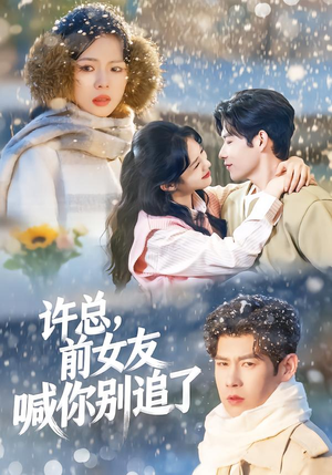 许总，前女友喊你别追了（80集）爱上了这部剧了