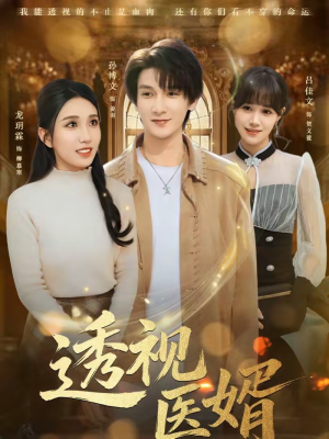 透视医婿（81集）直接追到结尾