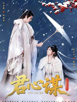 君心谋(80集) 君心谋(80集)经典老剧免费看